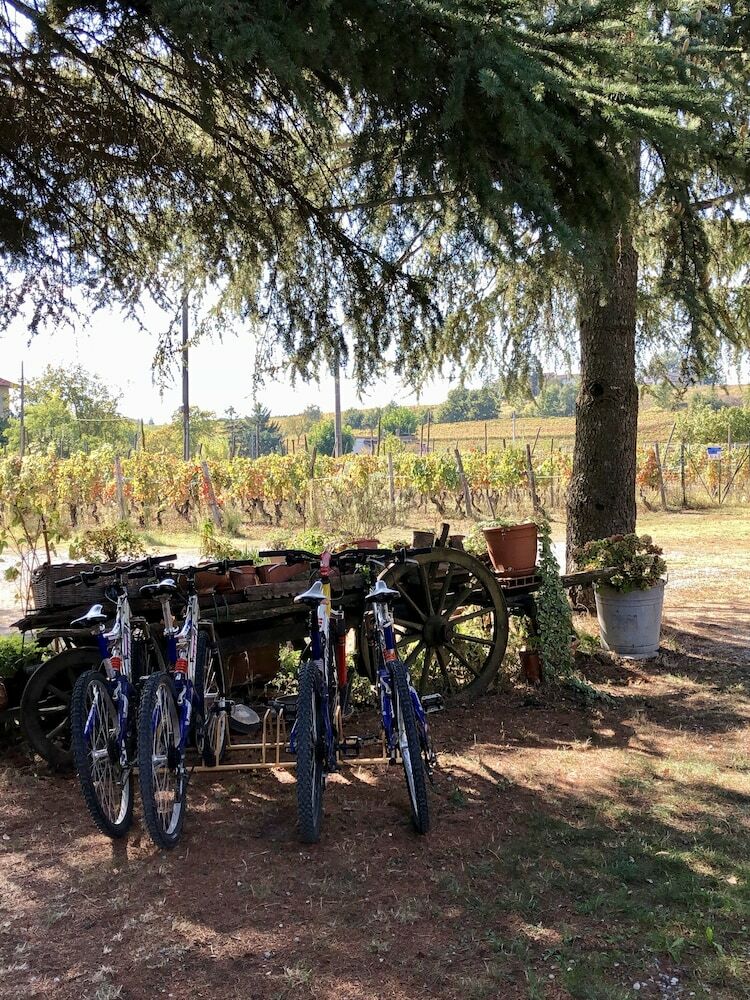 Agroturismo La Maddalena Bed & Wine