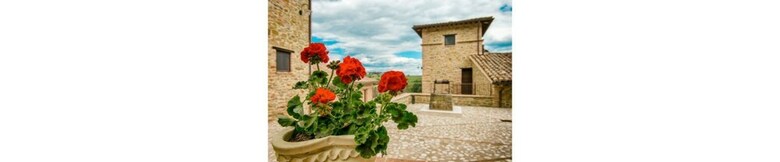 Agroturismo Borgo Sant'apollinare
