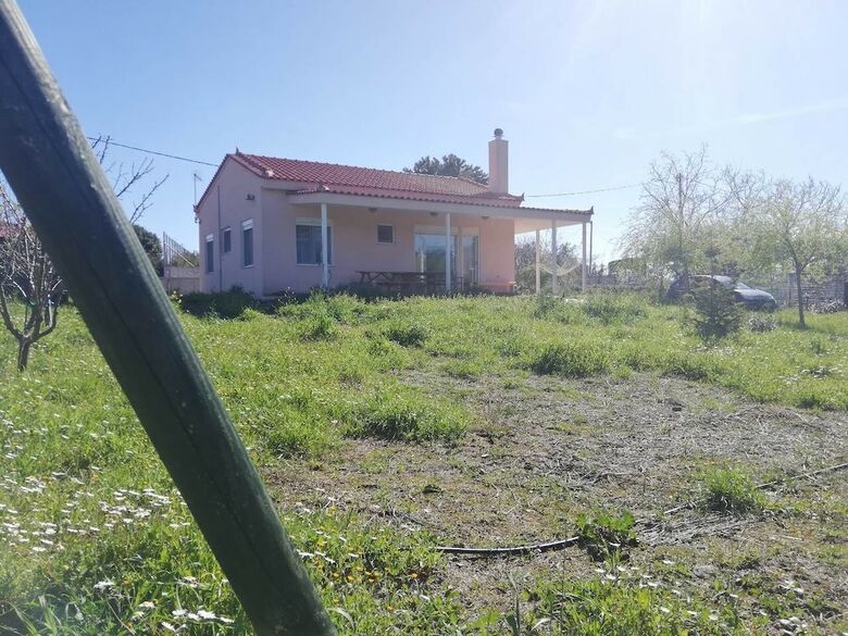 Antonia's New House With Amazing Garden