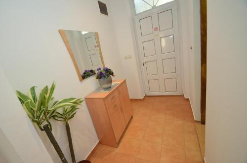 Apartments Vojin