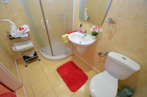Apartments Vojin