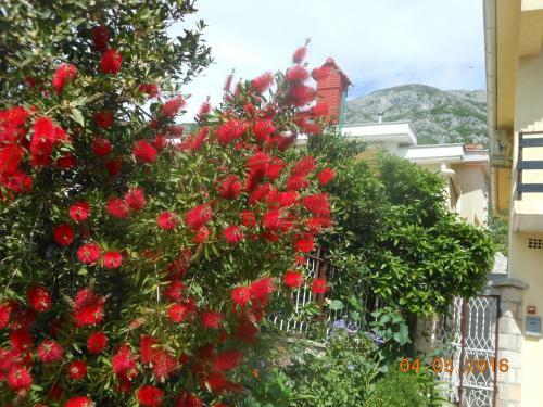 Hostal Lorena Rooms