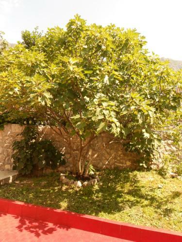Hostal Lorena Rooms