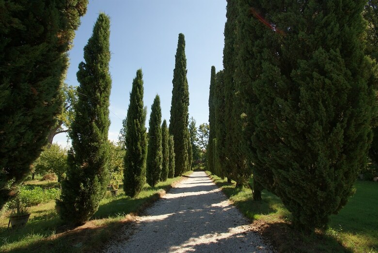 Agroturismo Villa Ghislanzoni Curti