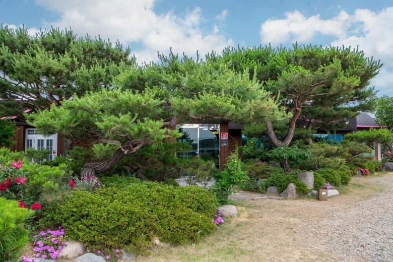 Sonamu Pension