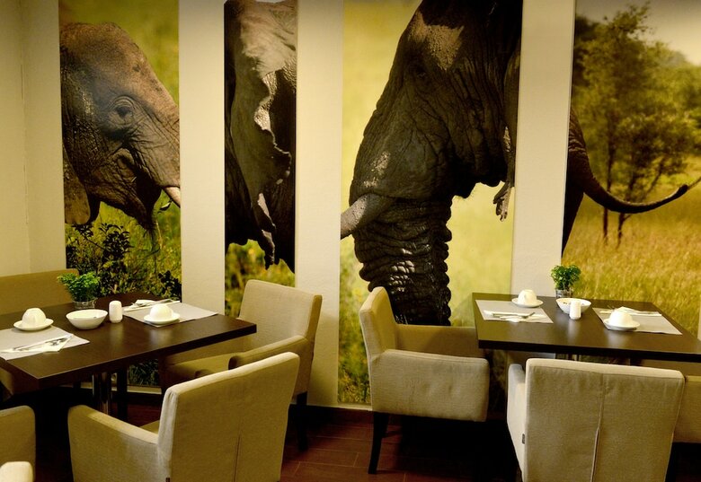Bed & Breakfast City Center House Elephant