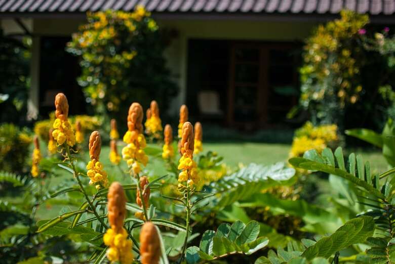 Apartamento Maekok River Village Resort