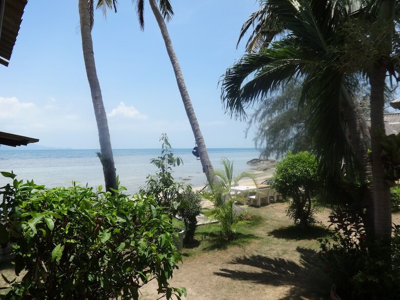 Hotel Bird Bungalow