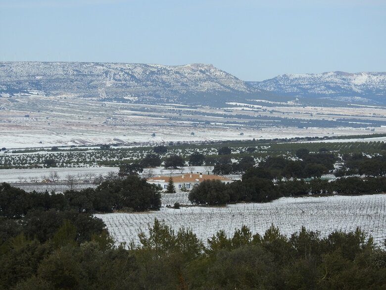 Agroturismo Finca El Romeral