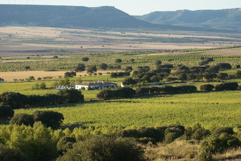 Agroturismo Finca El Romeral
