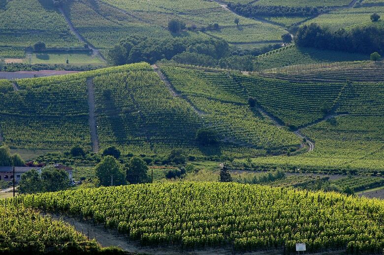 Best Western Hotel Langhe Cherasco