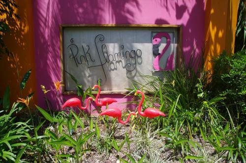 Hotel Pink Flamingo Resort