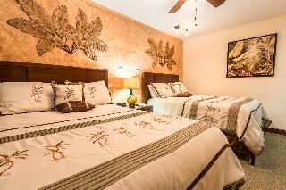 Buena Vista Hotel  Alajuela
