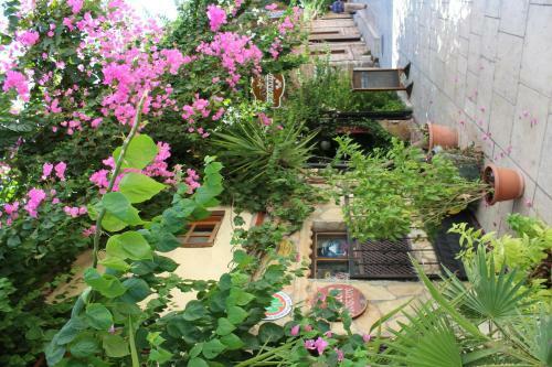 Hotel Lazer Pension