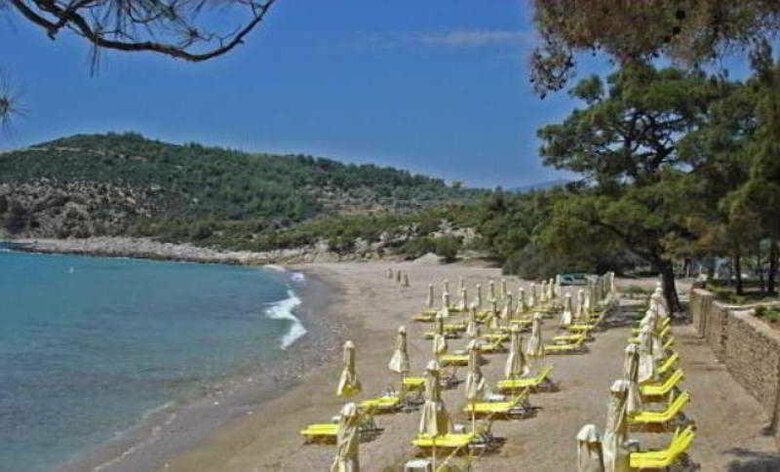 Hotel Royal Paradise Beach Resort & Spa