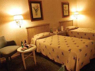 Hotel Neva Palas