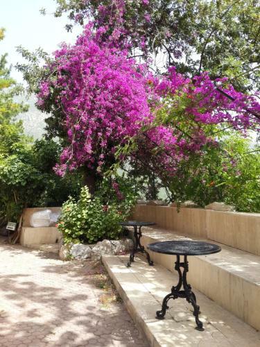 Paradise Garden Hotel
