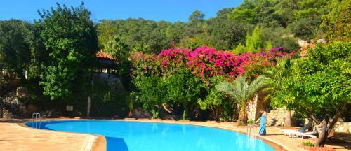 Paradise Garden Hotel