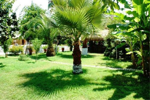 Club Turkuaz Garden Hotel
