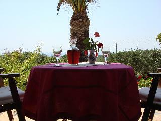 Hotel Villa Kapnisi