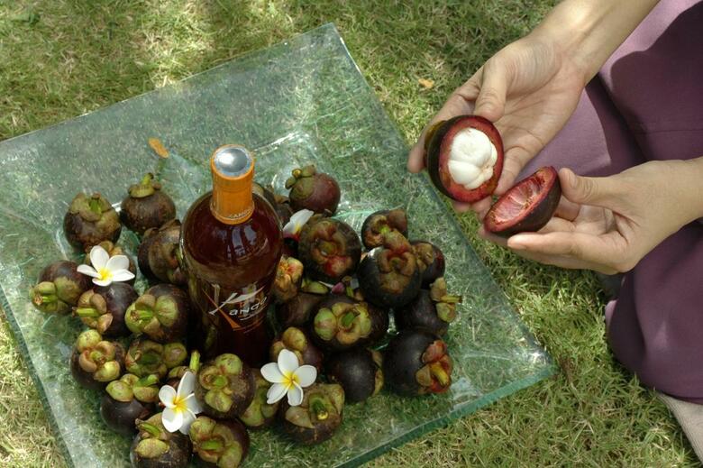 Hotel Mangosteen Resort And Ayurveda Spa