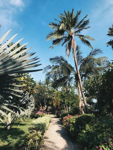 Chaweng Blue Lagoon Hotel