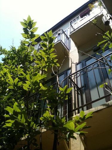 Hostal Suayai Guesthouse
