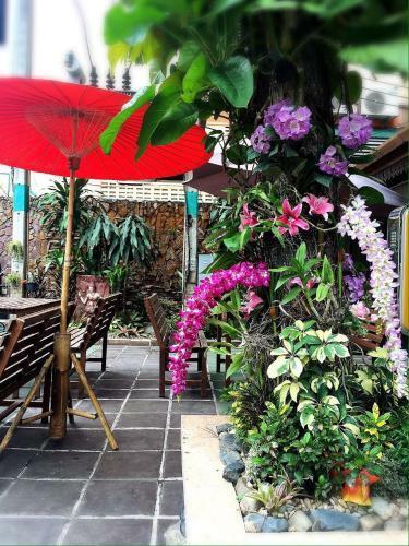 Albergue Panda House Chiang Mai