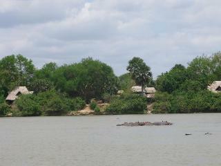 Hotel Selous Wilderness Camp