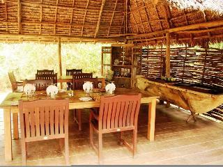 Hotel Selous Wilderness Camp
