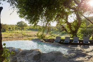 Hotel Motswari Private Game Reserve - Timbavati