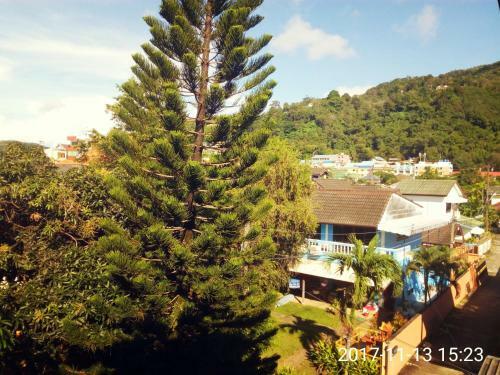 Hostal The Guest House