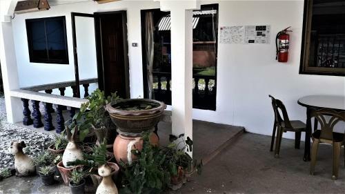 Hostal The Guest House