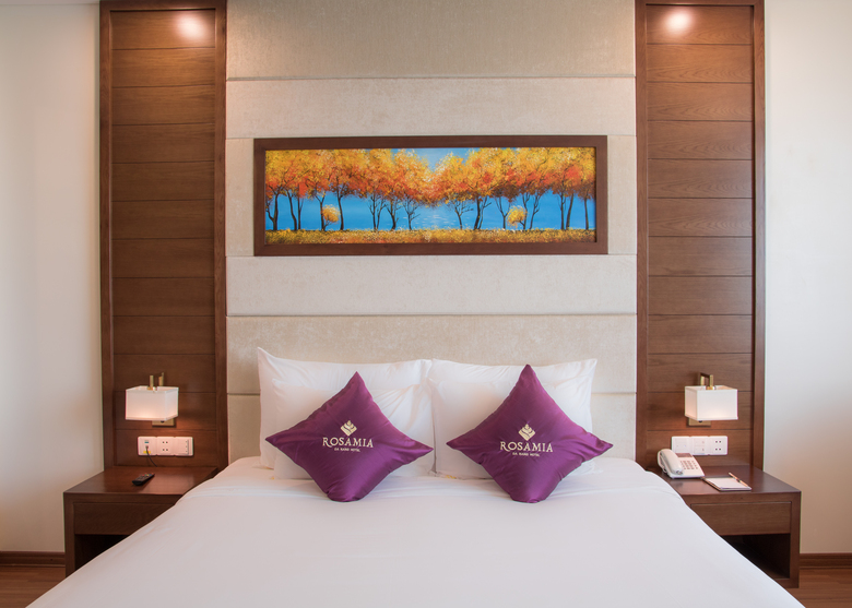 Rosamia Da Nang Hotel