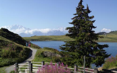 Chalet Trollius