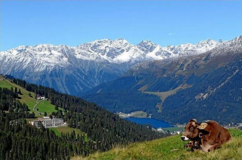 Hotel Snow & Mountain Resort Schatzalp