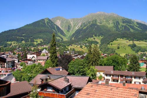 Monami Apartments Klosters, Apt. Casa Selva Nr 10