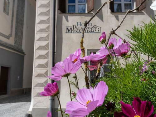 Hotel Palazzo M�sanus Samedan