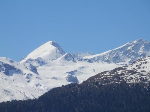 Hotel Palazzo M�sanus Samedan