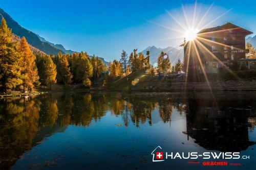 Swiss Apartment