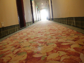 Hotel Greentree Inn Liaocheng Linqing Haishan Building E