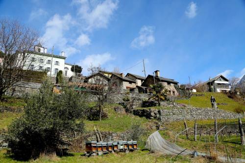 Bed & Breakfast Casa Dosc