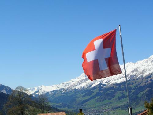 Chalet Tannegg