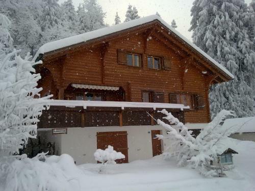 Apartamento Chalet Murmeli