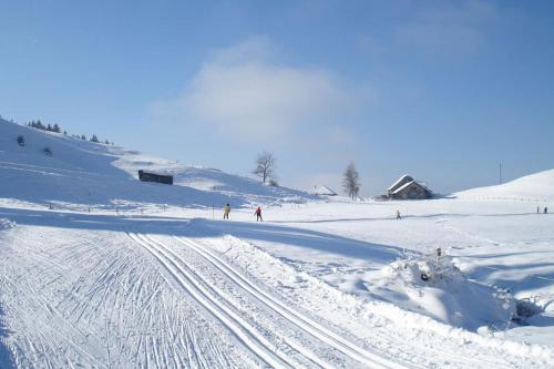 Apartamento Chalet Murmeli