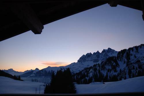 Hotel Mountain Lodge