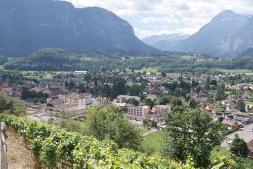 Hotel Le Cedre