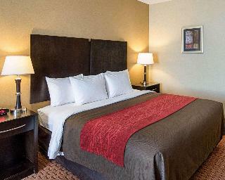 Hotel Comfort Inn & Suites Monahans Area