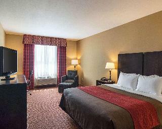 Hotel Comfort Inn & Suites Monahans Area