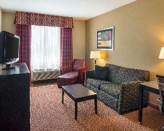 Hotel Comfort Inn & Suites Monahans Area